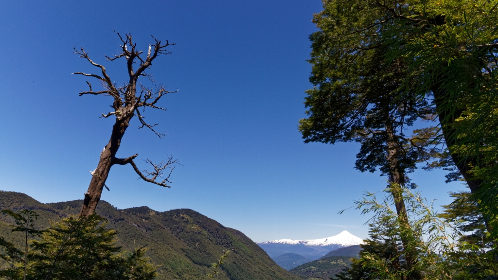 09 - Conguillio NP (16).jpg